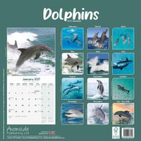 Avonside Kalender 27 Dolphins as