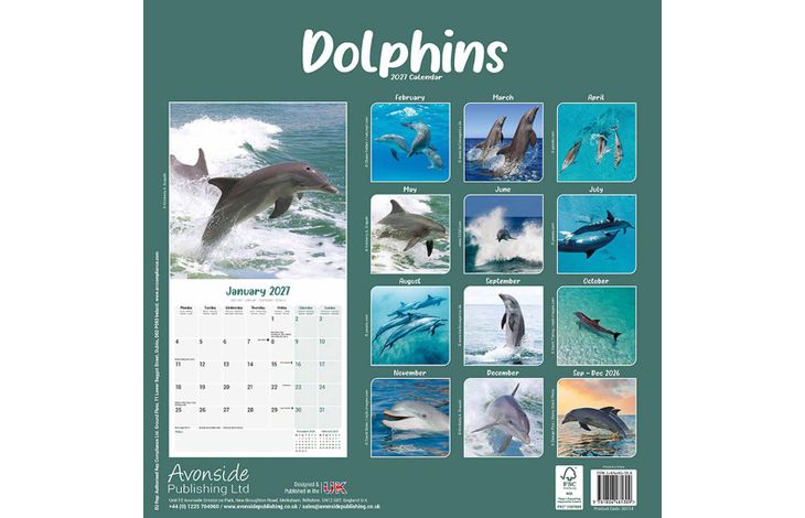 Avonside Kalender 27 Dolphins as