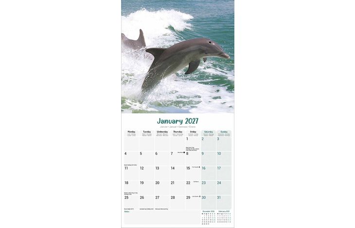 Avonside Kalender 27 Dolphins as