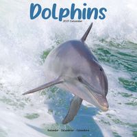 Avonside Kalender 27 Dolphins as
