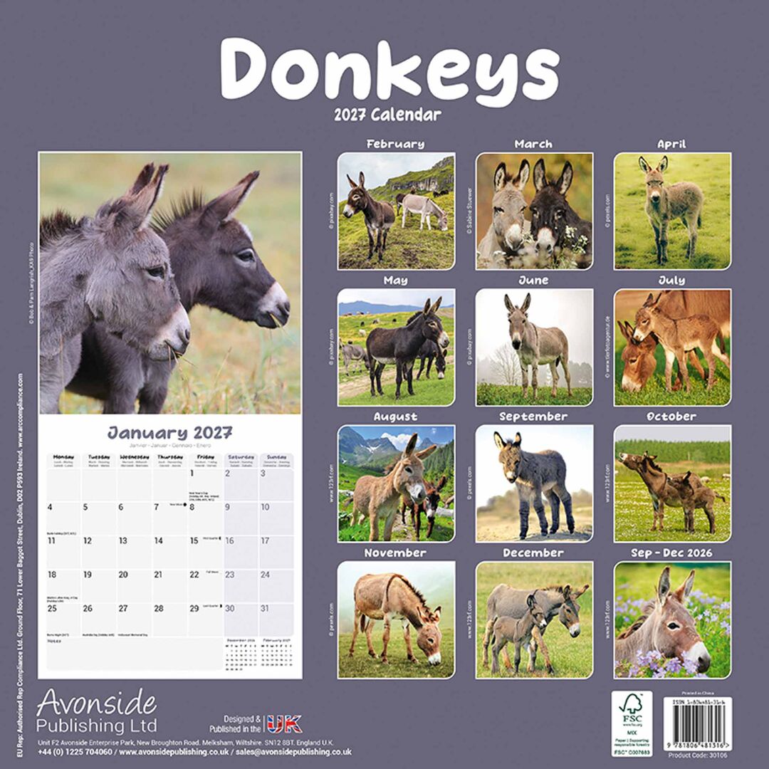 Avonside Kalender 27 Donkeys as