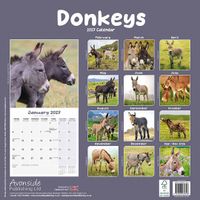 Avonside Kalender 27 Donkeys as