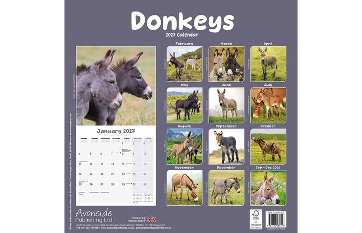 Avonside Kalender 27 Donkeys as