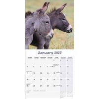 Avonside Kalender 27 Donkeys as