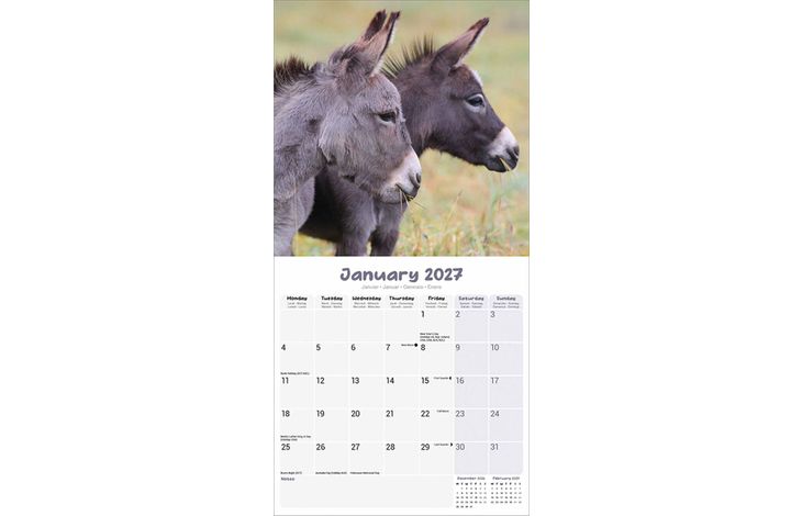 Avonside Kalender 27 Donkeys as