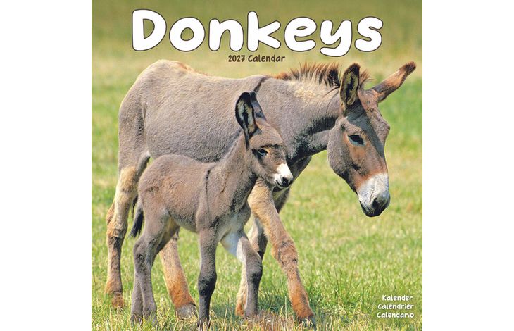 Avonside Kalender 27 Donkeys as