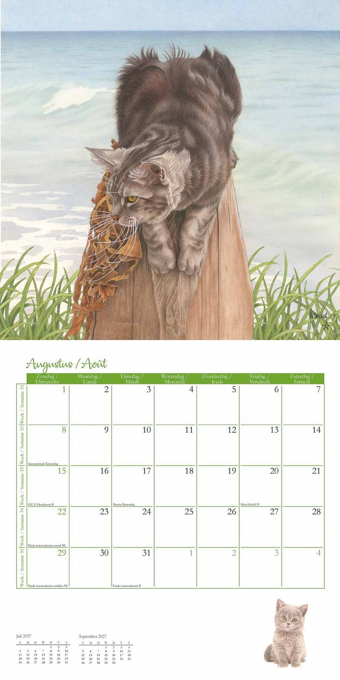 Comello Kalender 27 Franciens Katten pgc