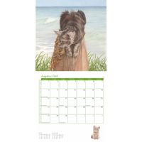 Comello Kalender 27 Franciens Katten pgc