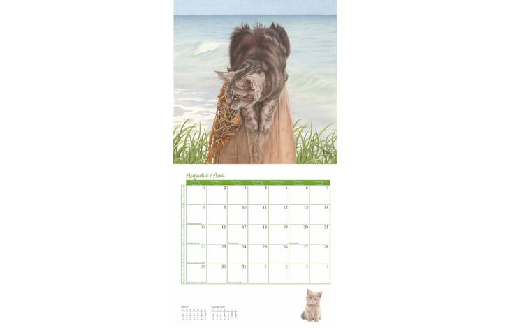 Comello Kalender 27 Franciens Katten pgc