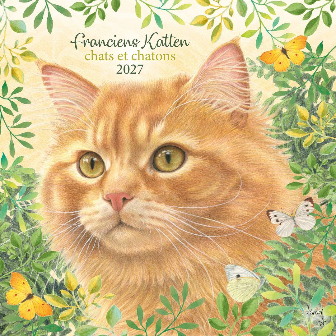 Comello Kalender 27 Franciens Katten pgc