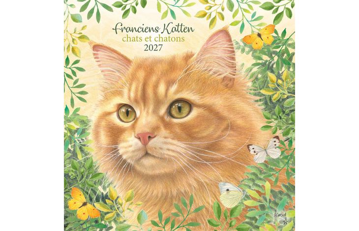 Comello Kalender 27 Franciens Katten pgc