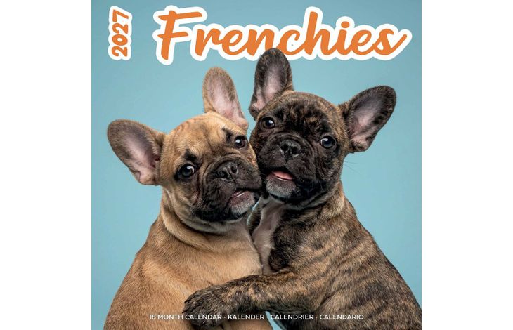 Plenty Gifts Kalender 27 Frenchies Studio pg