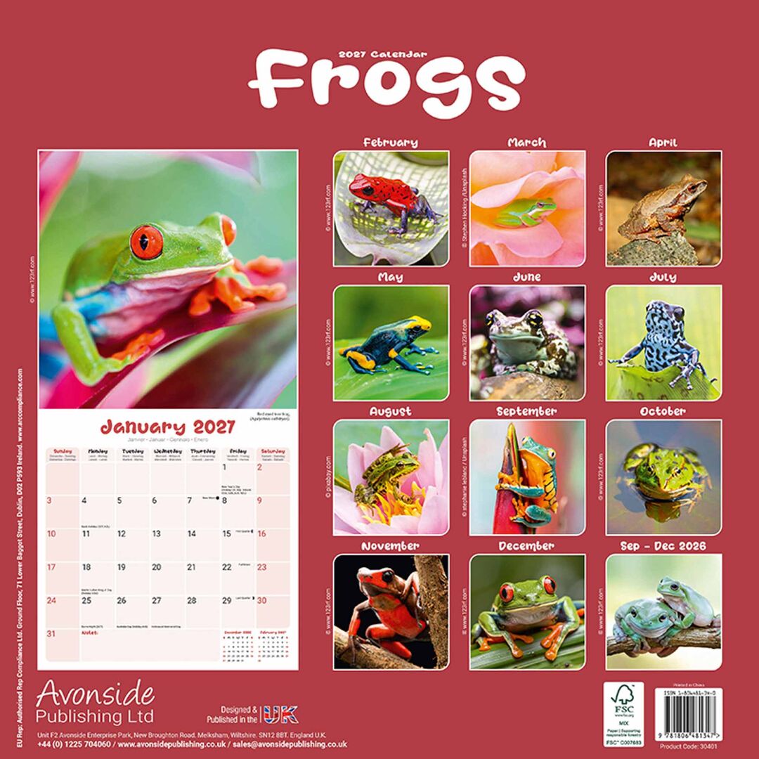 Avonside Kalender 27 Frogs as