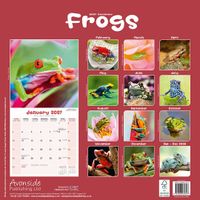 Avonside Kalender 27 Frogs as