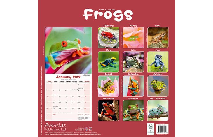 Avonside Kalender 27 Frogs as