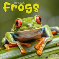 Avonside Kalender 27 Frogs as