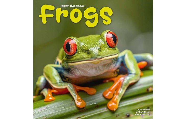 Avonside Kalender 27 Frogs as
