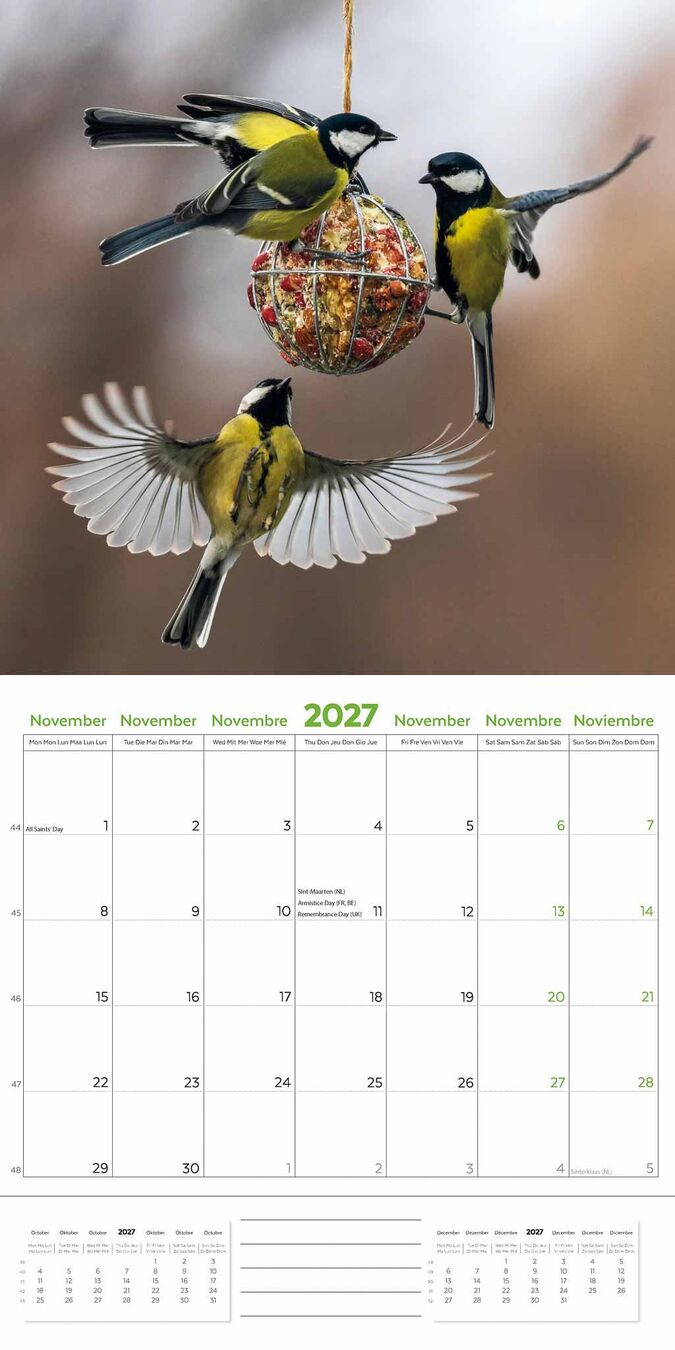 Plenty Gifts Kalender 27 Garden Birds pg