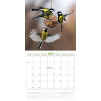 Plenty Gifts Kalender 27 Garden Birds pg