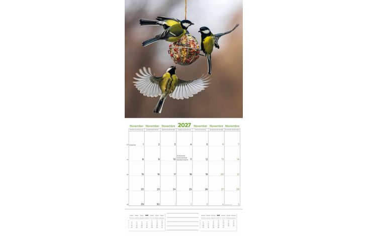 Plenty Gifts Kalender 27 Garden Birds pg
