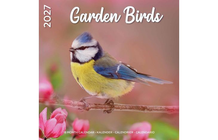Plenty Gifts Kalender 27 Garden Birds pg
