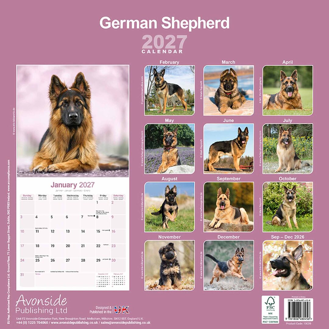 Avonside Kalender 27 German Shepherds as