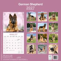 Avonside Kalender 27 German Shepherds as