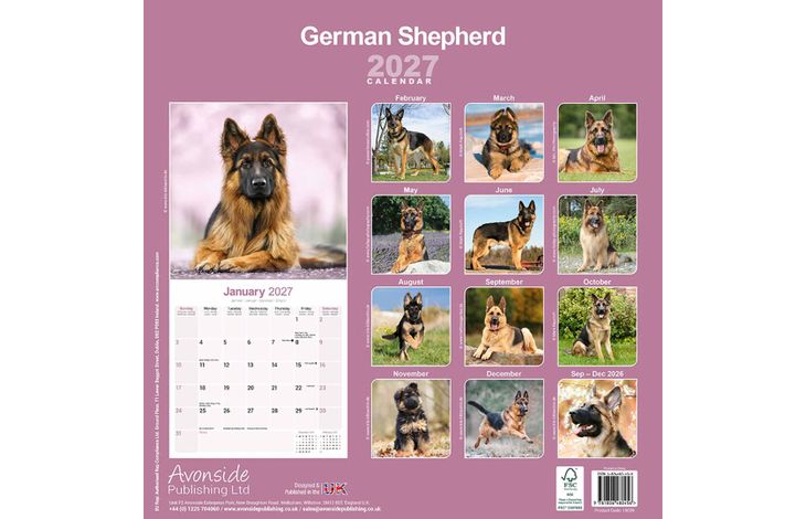 Avonside Kalender 27 German Shepherds as