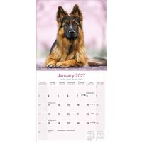 Avonside Kalender 27 German Shepherds as
