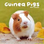 Kalender 27 Guinea Pigs as