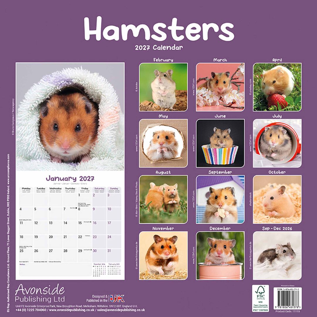 Avonside Kalender 27 Hamsters as