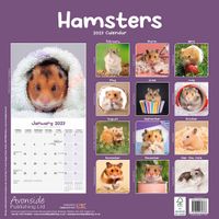Avonside Kalender 27 Hamsters as