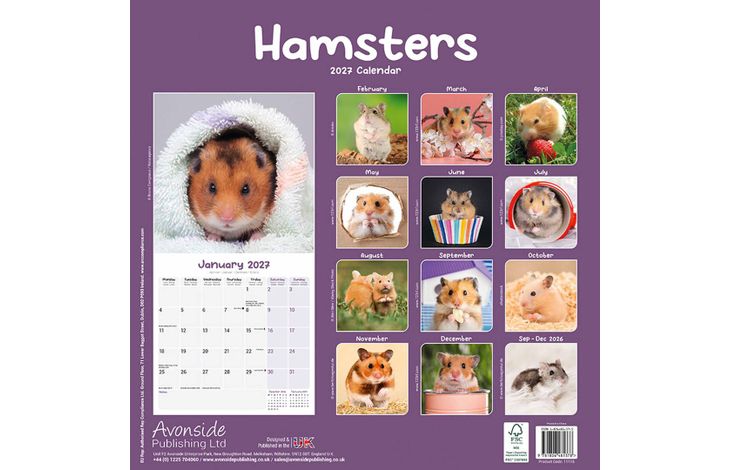 Avonside Kalender 27 Hamsters as