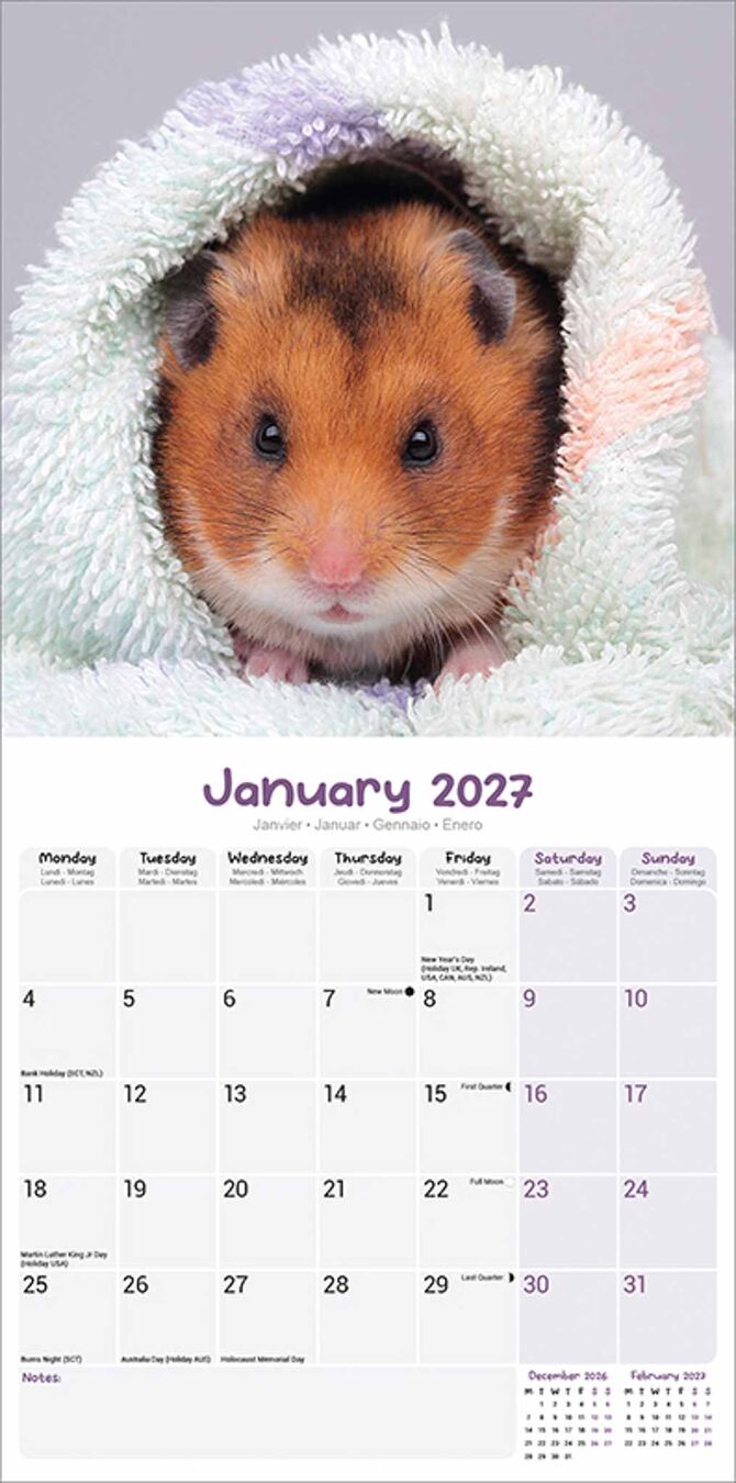 Avonside Kalender 27 Hamsters as