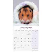 Avonside Kalender 27 Hamsters as