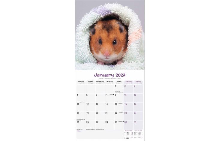 Avonside Kalender 27 Hamsters as