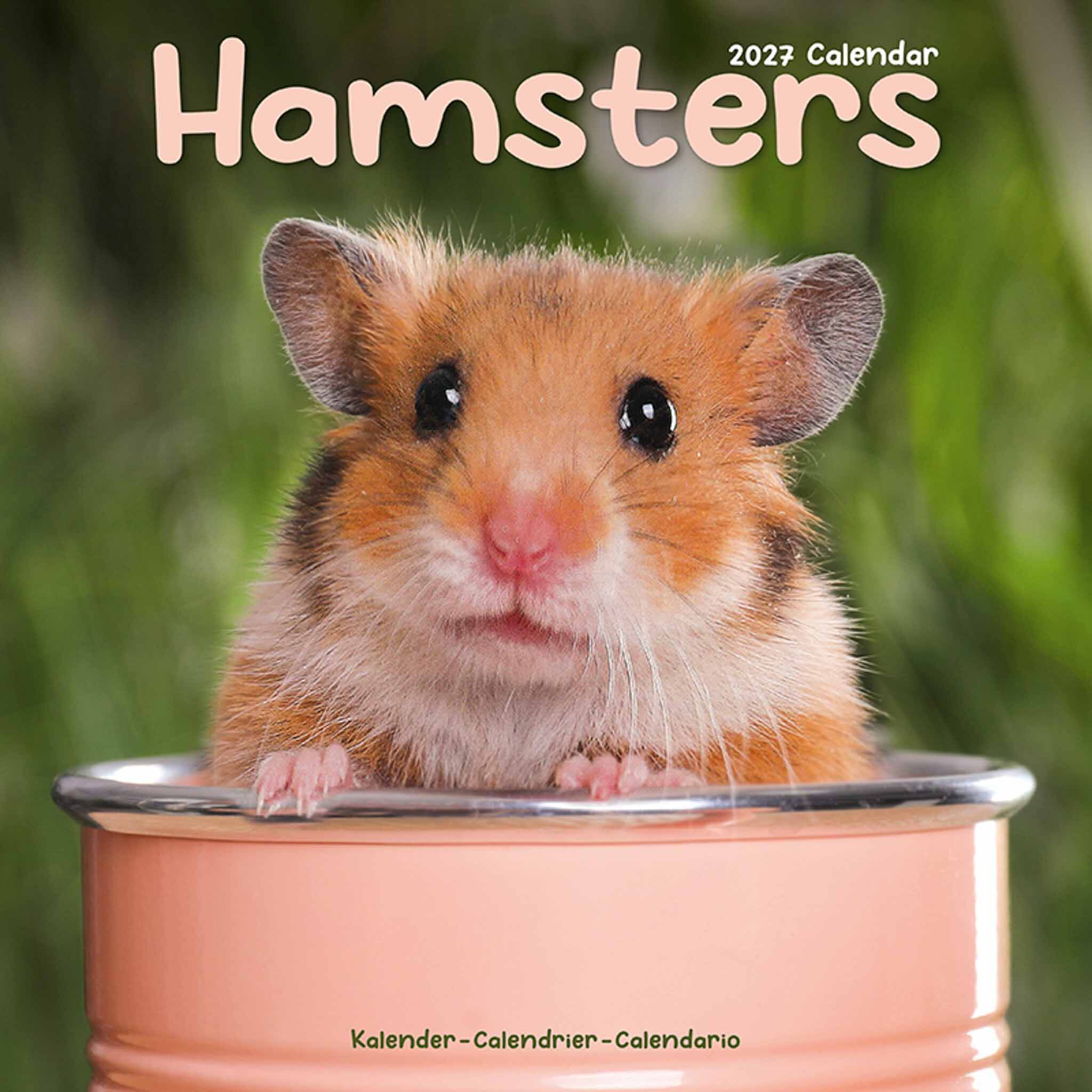 Avonside Kalender 27 Hamsters as