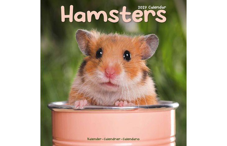 Avonside Kalender 27 Hamsters as