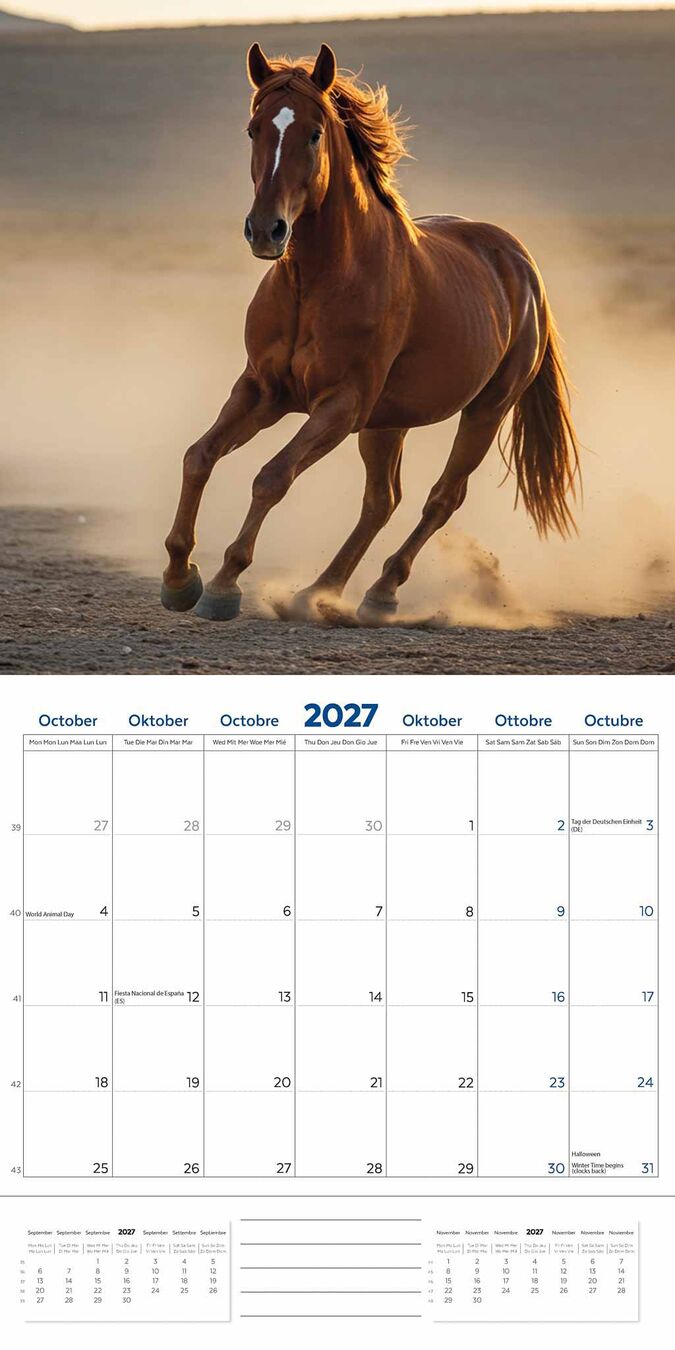 Plenty Gifts Kalender 27 Horse Lovers pg