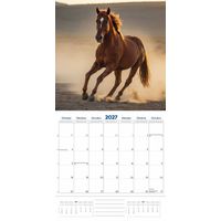 Plenty Gifts Kalender 27 Horse Lovers pg