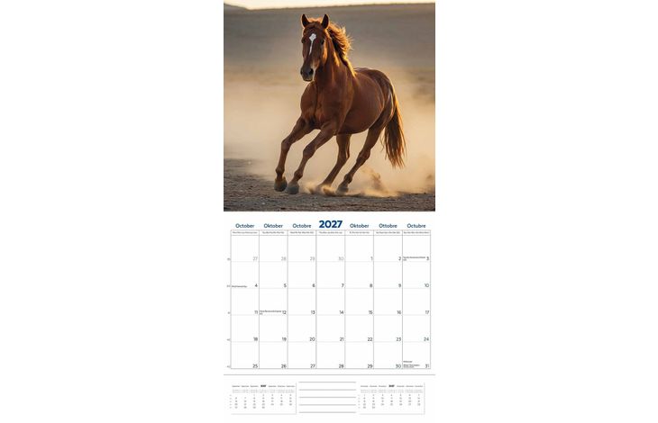Plenty Gifts Kalender 27 Horse Lovers pg