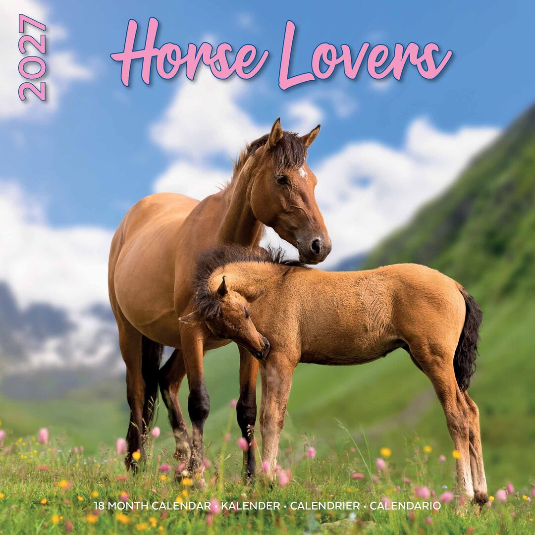Plenty Gifts Kalender 27 Horse Lovers pg