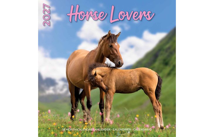 Plenty Gifts Kalender 27 Horse Lovers pg