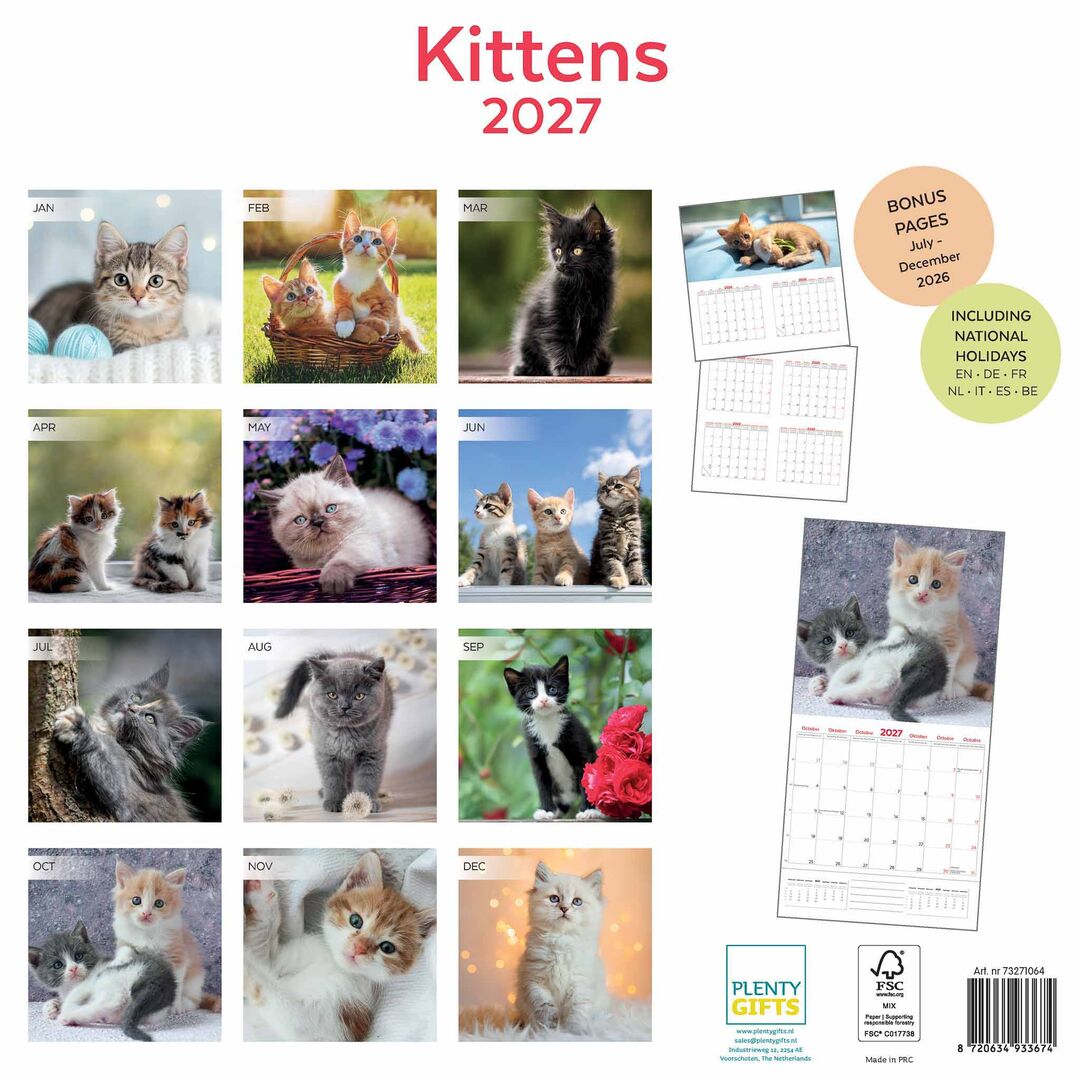Plenty Gifts Kalender 27 Kittens pg