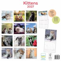 Plenty Gifts Kalender 27 Kittens pg