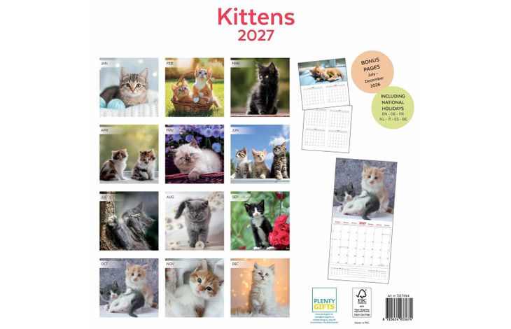 Plenty Gifts Kalender 27 Kittens pg