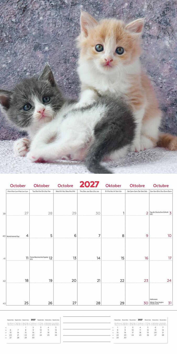 Plenty Gifts Kalender 27 Kittens pg