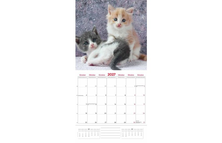 Plenty Gifts Kalender 27 Kittens pg
