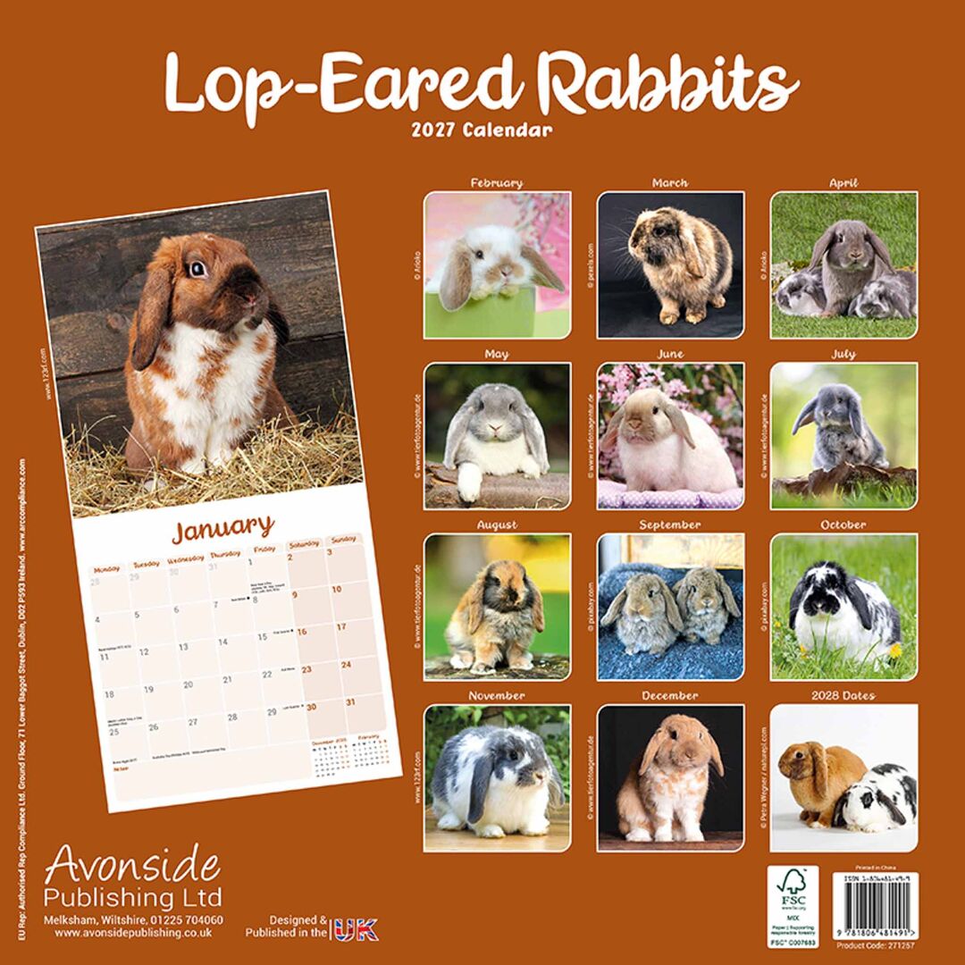 Avonside Kalender 27 Lop Eared Rabbits as