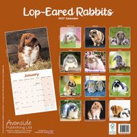 Avonside Kalender 27 Lop Eared Rabbits as